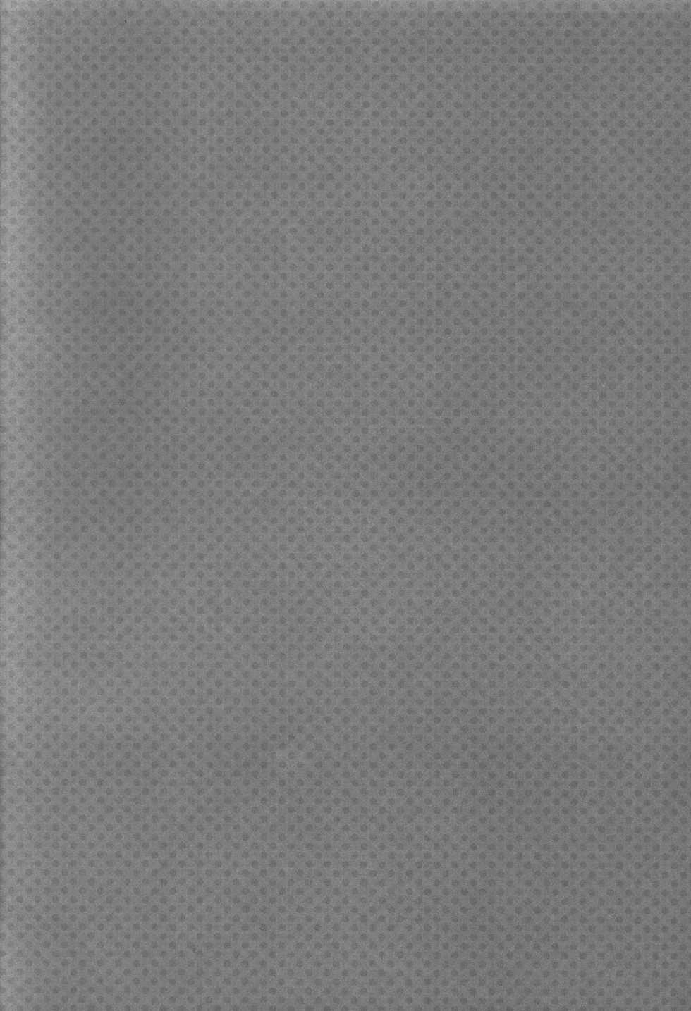 (C88) [moriQ (Mori Airi)] Hamete Rockin'sweet (SHOW BY ROCK!!) [Spanish] [cywdt.group] - Page 3