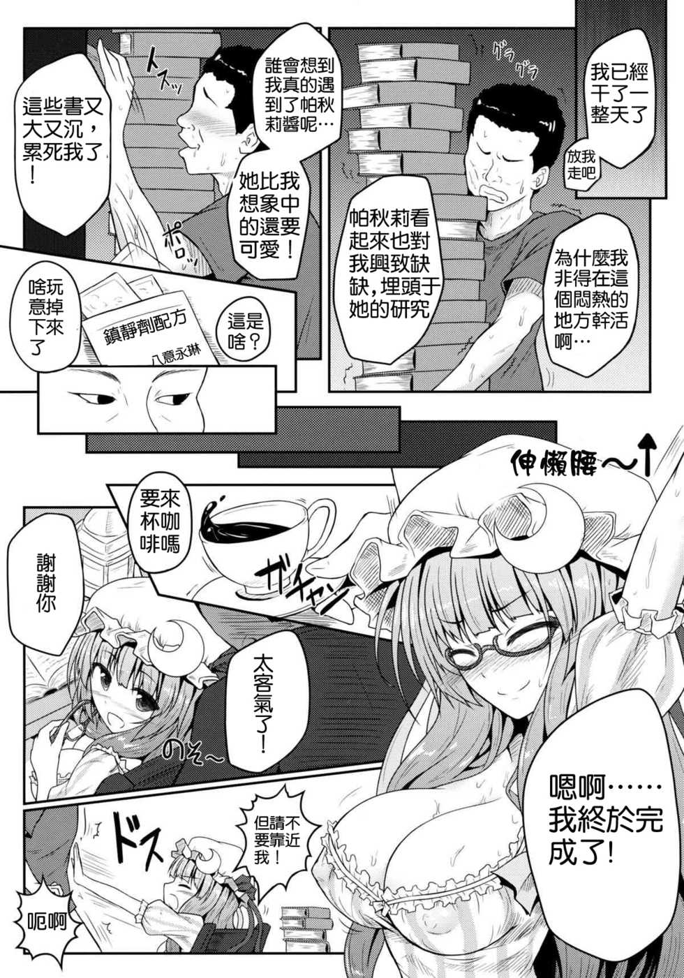 (C83) [e☆ALI-aL! (Ariesu Watanabe)] Mu-chouli~! (Touhou Project) [Chinese] [德雷个人汉化] - Page 5