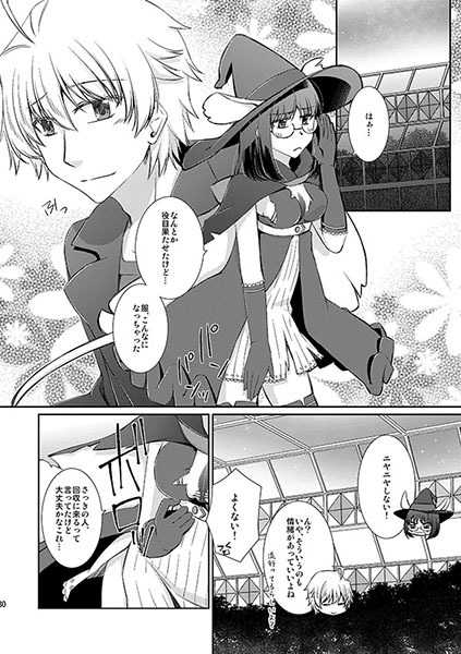 (C94) [Silver Moon (Satoh Moegi)] Engage garden (Fate/Prototype) [Sample] - Page 2