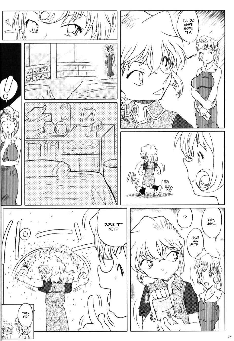 (CT4) [Studio Empty (Nishi)] Zoku Ai no Arashi Ai no Sanka (Detective Conan) [English] [desudesu] - Page 13