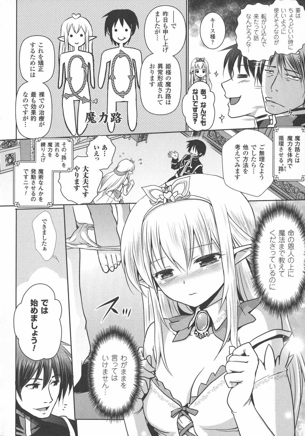 [Isogai Taketsura, Tokimal Yoshihisa] Elf no Kuni no Kyuutei Madoushi ni naretanode Himesama ni Seitekina Itazura wo shitemita THE COMIC - Page 10