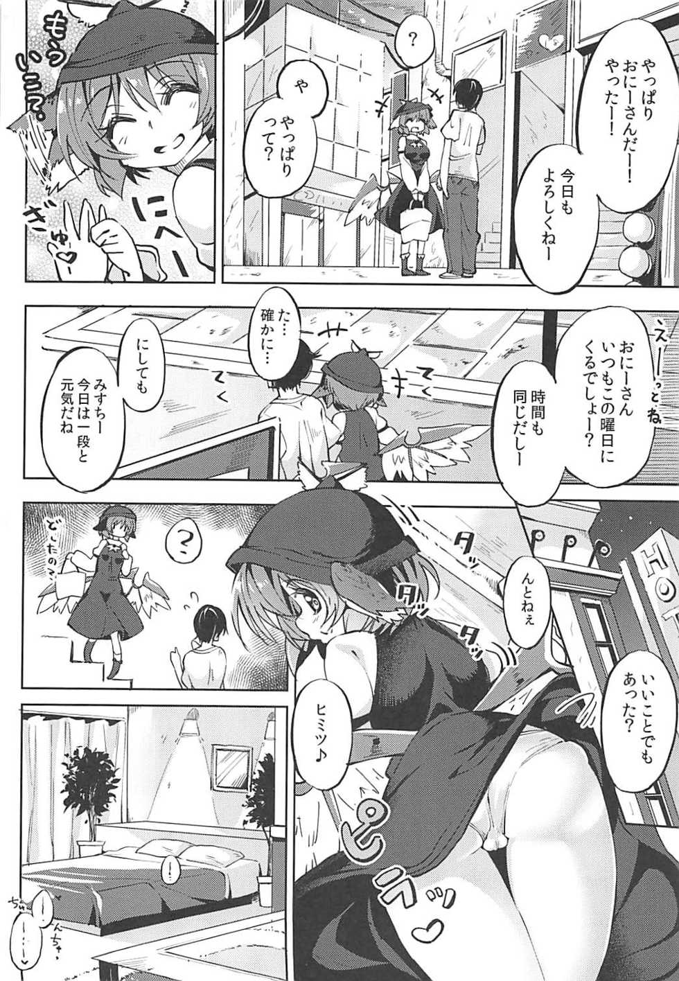 (C94) [Nigeru Support (Nigesapo)] Powapowa-kei Iyashi Misty to Ecchi Suru Hon (Touhou Project) - Page 3
