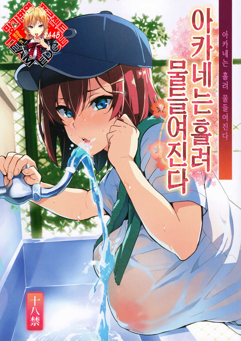 (C94) [Shinjugai (Takeda Hiromitsu)] Akane wa Tsumare Somerareru + C94 Rakugakichou | 아카네는 홀려 물들여진다 + C94 낙서 장 (Kaijou Gentei) [Korean] [Team Edge] - Page 1