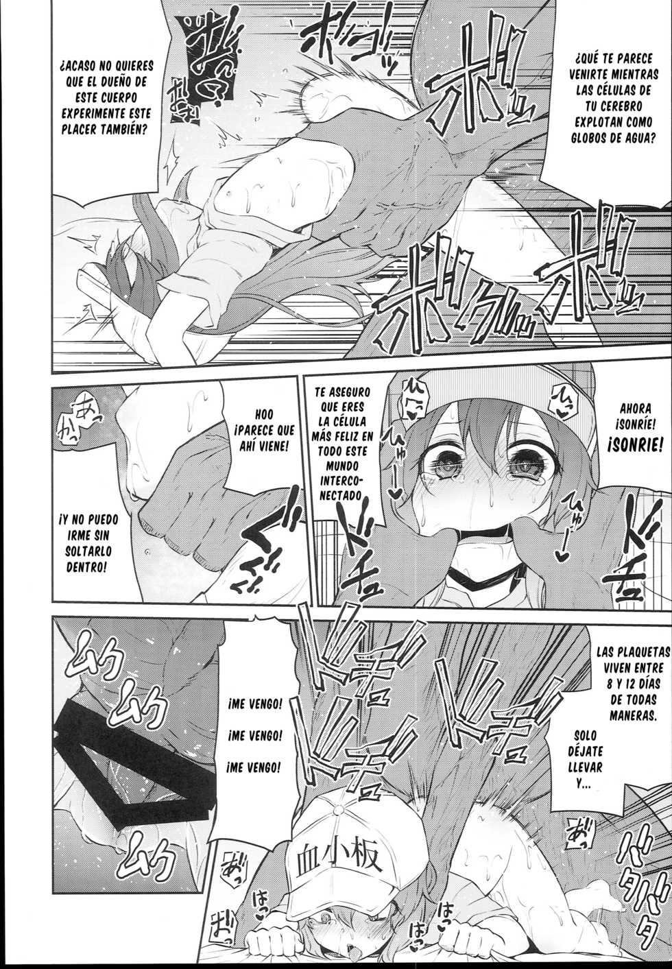 (C94) [Kitsuneya (Leafy)] Koraku 4 (Hataraku Saibou) [Spanish] [cywdt.group] - Page 6