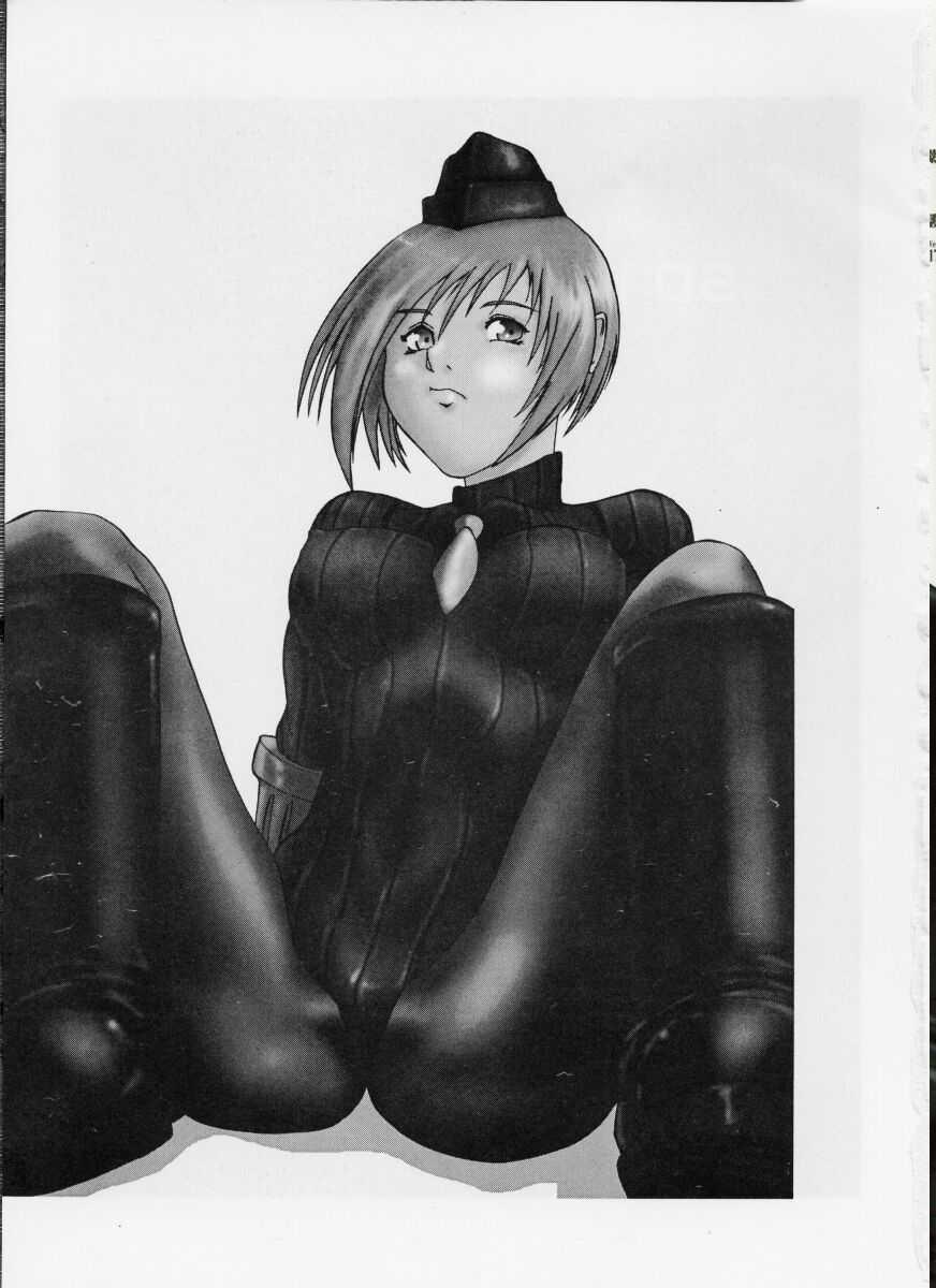 (C56) [Tail of Nearly (Various)] Shadow Defence 17 (Street Fighter) - Page 3