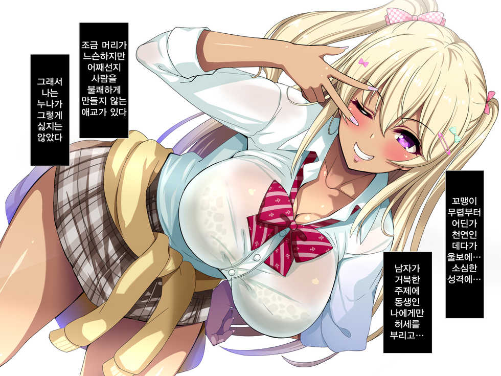 [Lyricbox (Blast)] Gal na Onee-san wa Suki desu ka? | 갸루인 누나는 좋아하나요? [Korean] - Page 17