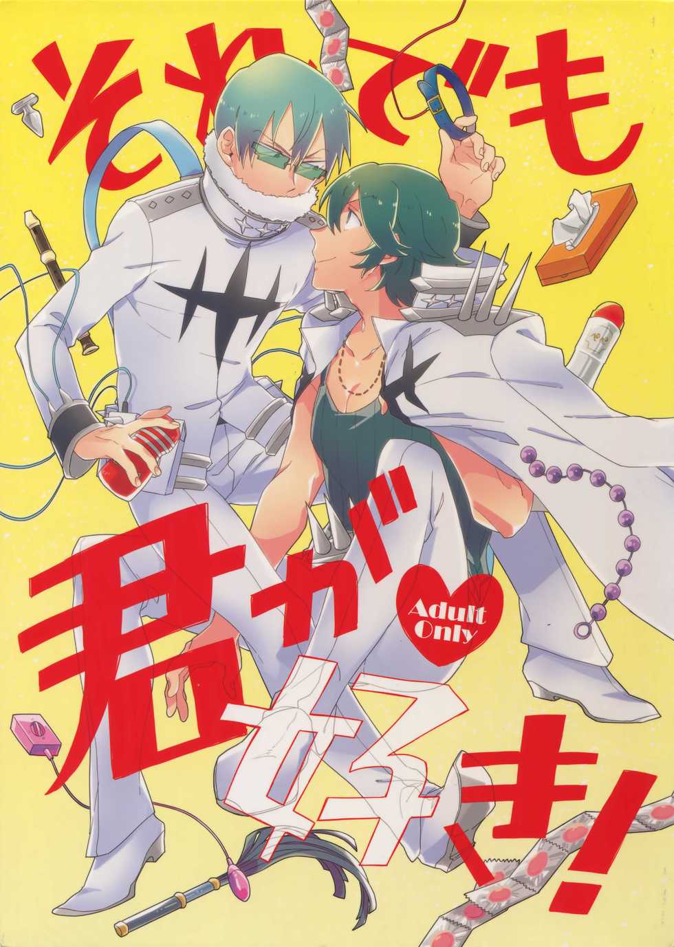 (Ifuudoudou Sarani Aratame) [Sukidarake, chippus! (Fukuzawa Yukine, Chippu)] Soredemo Kimigasuki! (Kill la Kill) - Page 1
