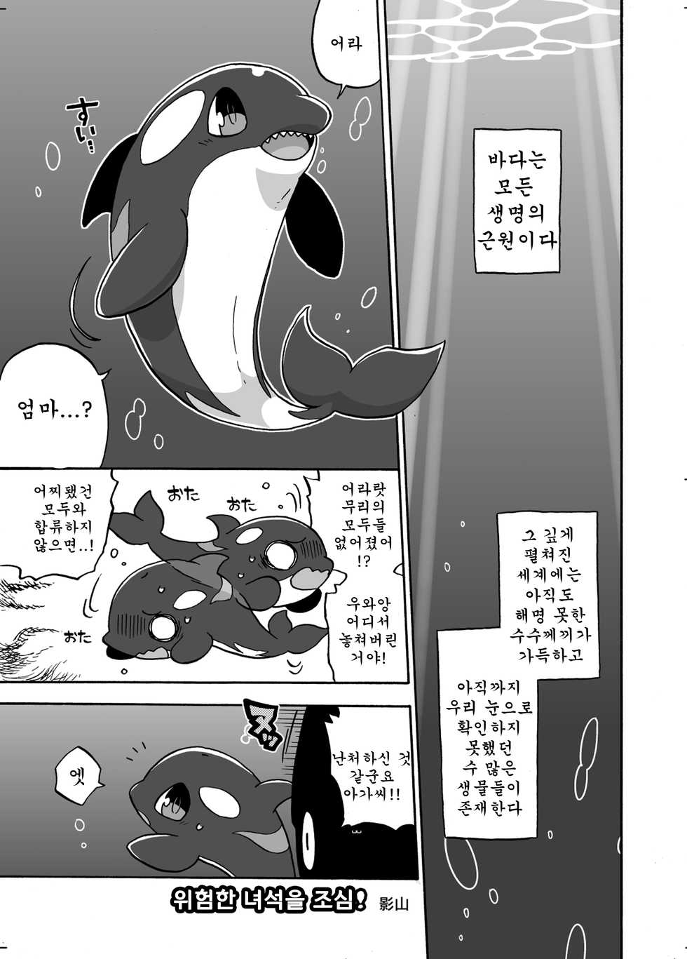 [Ika Guerrilla (Kageyama)] Shachi Ero wa Ikaga!? | 범고래 에로는 어떠신징어!? [Korean] [강루스페] [Digital] - Page 2