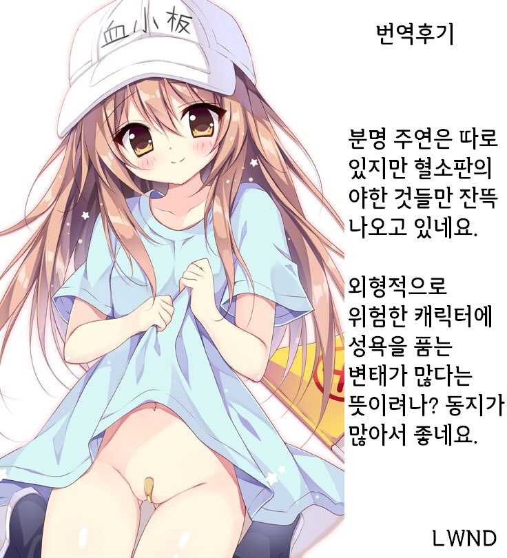 (C94) [LOOPTHELOOP! (Herurun)] Kesshouban-chan to ○○○ Shitai! | 혈소판 쨩과 ○○○ 하고 싶어! (Hataraku Saibou) [Korean] [LWND] - Page 19