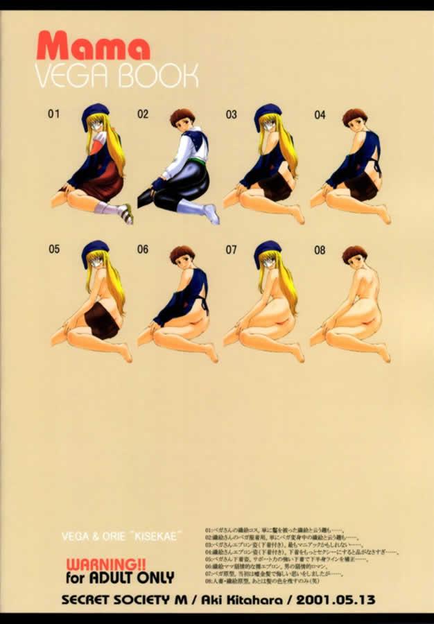 (CR29) [Secret Society M (Kitahara Aki)] Mama VEGA BOOK (Gear Fighter Dendoh) - Page 18