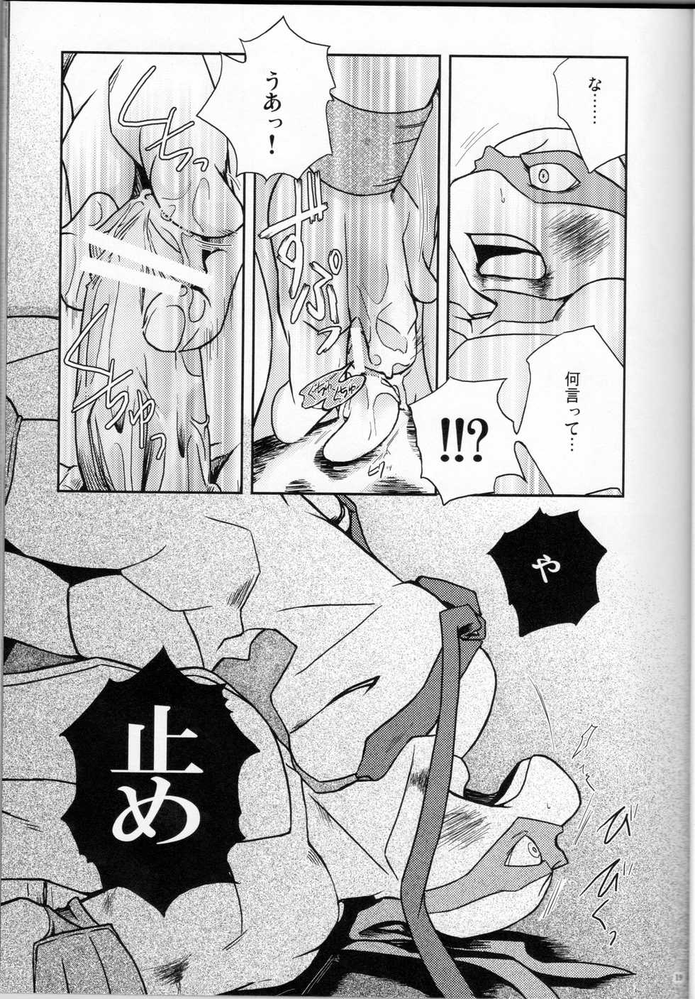 (C75) [Rotten Freaks (Various)] FALLEN (Teenage Mutant Ninja Turtles) - Page 18