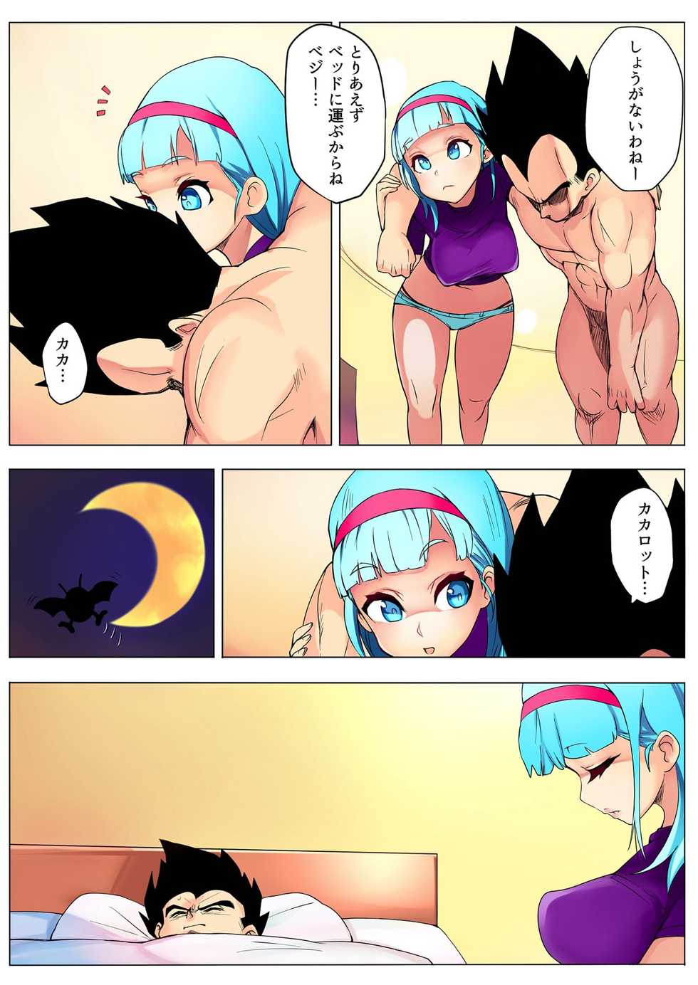 [Puranpuman] Bulma ga Sabishi Sou na Vegeta o Mite Tsui Nantonakuna Hon (Dragon Ball Z) - Page 13