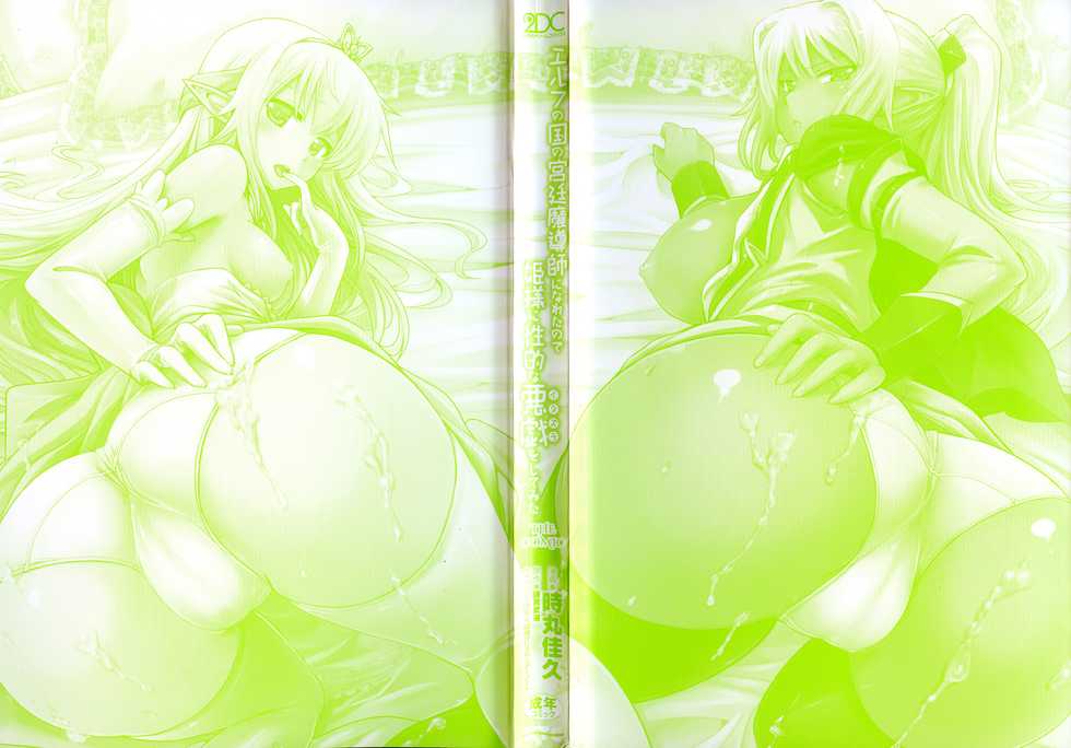 [Isogai Taketsura, Tokimal Yoshihisa] Elf no Kuni no Kyuutei Madoushi ni naretanode Himesama ni Seitekina Itazura wo shitemita THE COMIC [Chinese] - Page 3