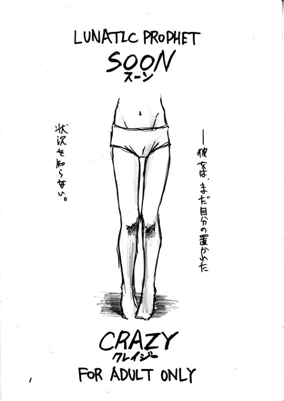 [LUNATIC PROPHET (Arimura Yuu)] Soon Crazy (Medabots) [Digital] - Page 2