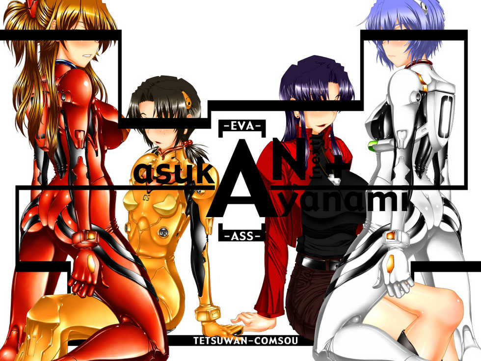 (C77) [Tetsuwan-Comsou] "AN+" (Neon Genesis Evangelion) [Chinese] [花火汉化组]  [Incomplete] - Page 2
