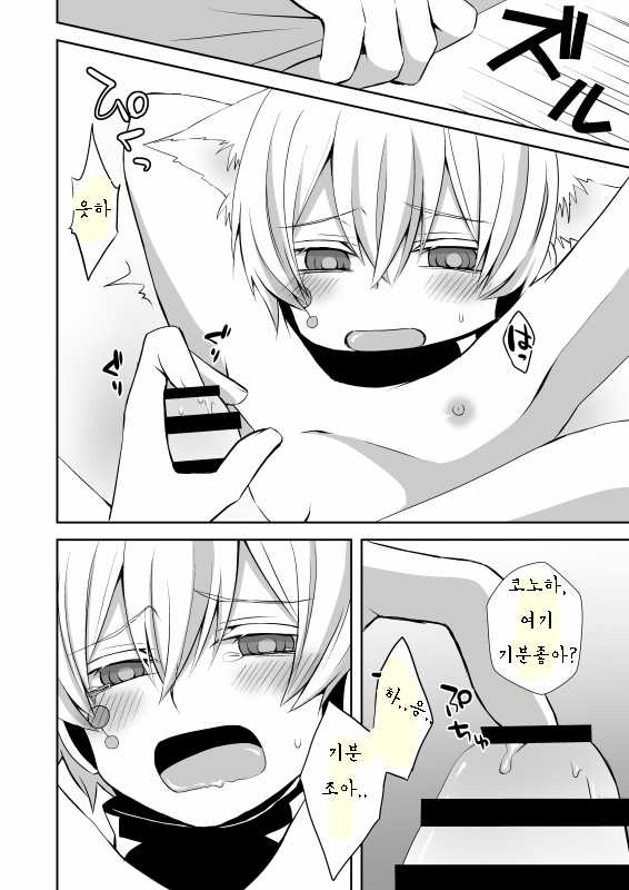 [Sioyaki (Ayu)] Neko Konoha no Jijiou (Kagerou Project) [Korean] [Digital] - Page 9