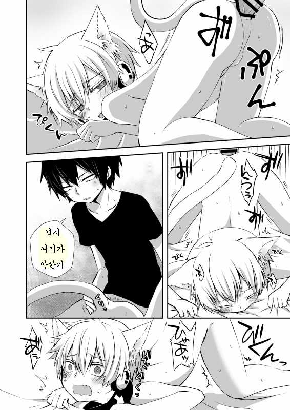 [Sioyaki (Ayu)] Neko Konoha no Jijiou (Kagerou Project) [Korean] [Digital] - Page 15