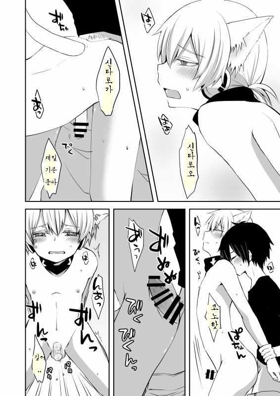 [Sioyaki (Ayu)] Neko Konoha no Jijiou (Kagerou Project) [Korean] [Digital] - Page 17