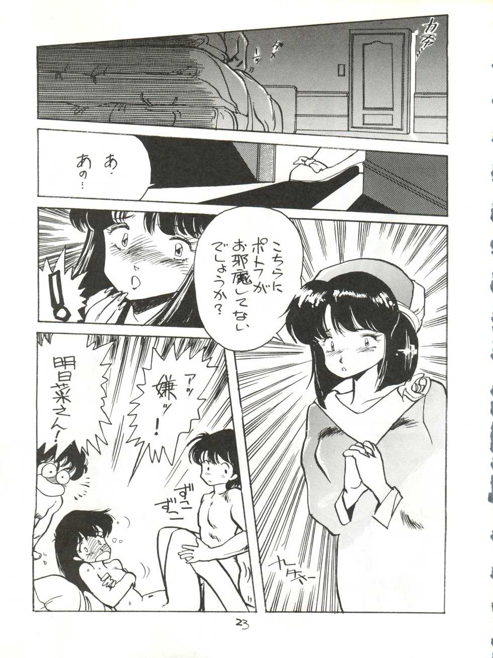 (C36) [T.A.K.K. (Various)] Copper Head! (Maison Ikkoku, Laputa, Wingman) - Page 23