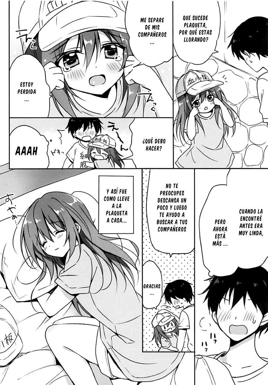 (C94) [LOOPTHELOOP! (Herurun)] Kesshouban-chan to ○○○ Shitai! (Hataraku Saibou) [Spanish] [cywdt.group] - Page 5
