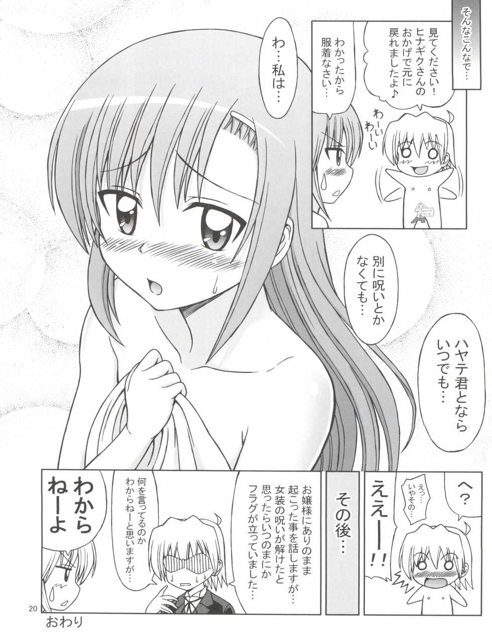 (C76) [Brain Dead (Eiji)] Hina to Izumi no Shakunetsu Stroganoff (Hayate no Gotoku!) - Page 21