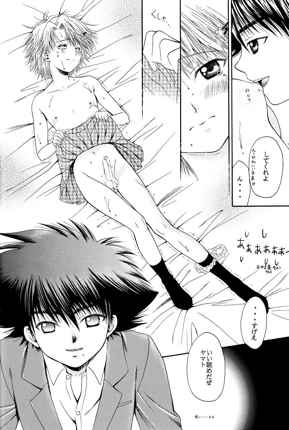 (C60) [Gomoku Gohan (Miyabi Yutaka)] Cutie Honey (Digimon Adventure) - Page 15