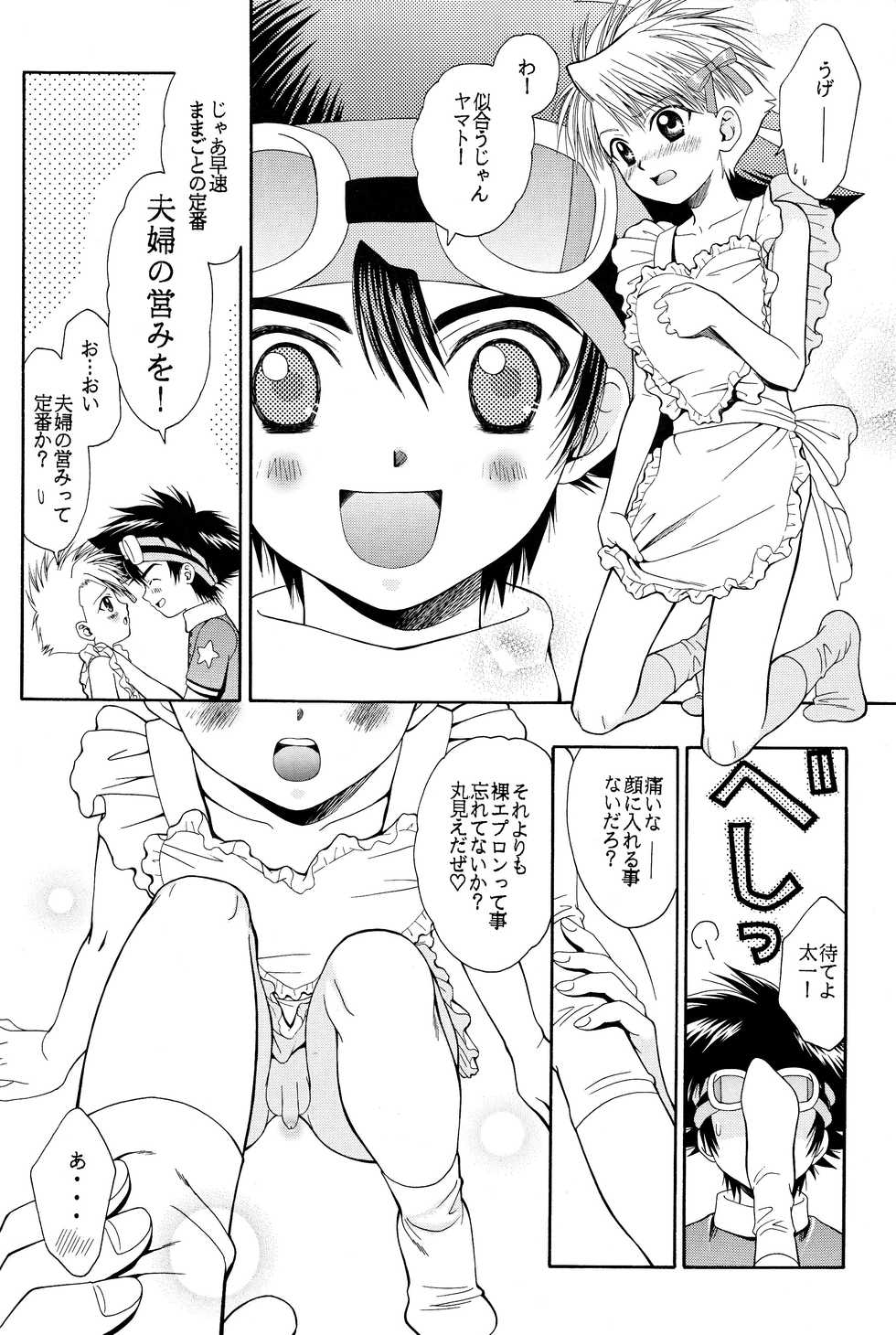 (C60) [Gomoku Gohan (Miyabi Yutaka)] Cutie Honey (Digimon Adventure) - Page 27