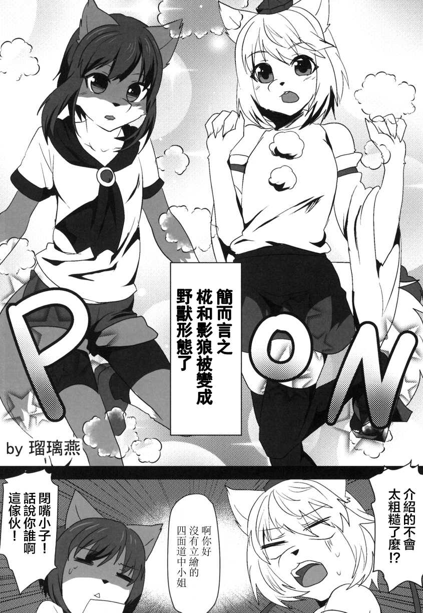 (Kemoket 5) [Kimuchi-tei (Ruri Tsubame, Cube85)] Kagerou-kun (Touhou Project) [Chinese] [瑞树汉化组] - Page 4