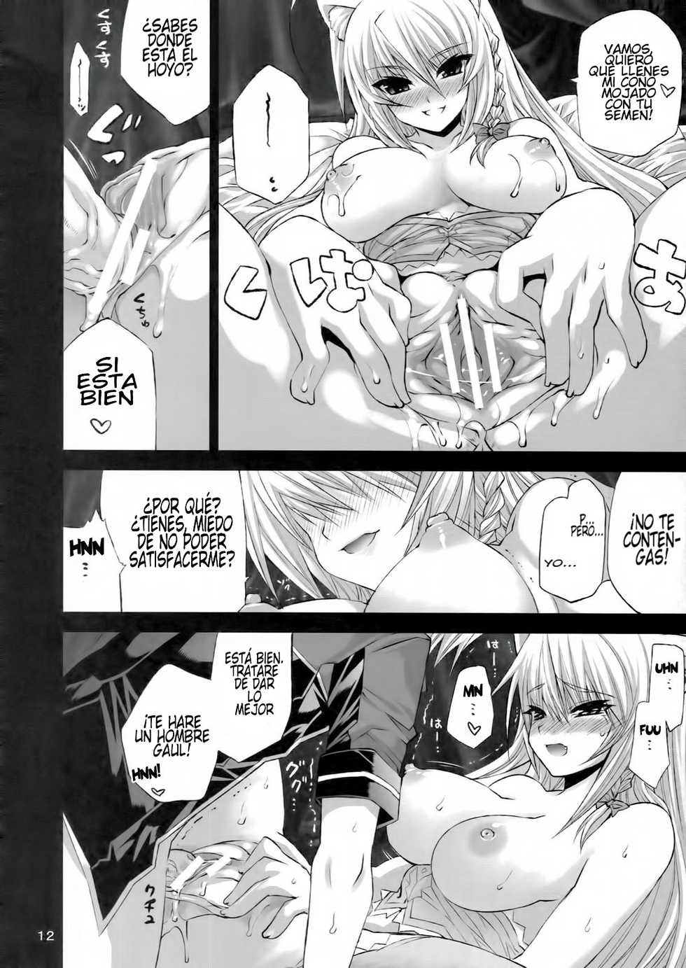 (COMIC1☆5) [FANTASY WIND (Minazuki Satoshi, Shinano Yura)] CATDAYS (DOG DAYS) [Spanish] [Santi] - Page 11