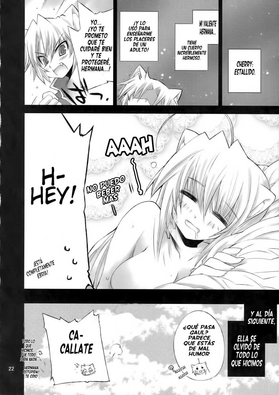 (COMIC1☆5) [FANTASY WIND (Minazuki Satoshi, Shinano Yura)] CATDAYS (DOG DAYS) [Spanish] [Santi] - Page 20