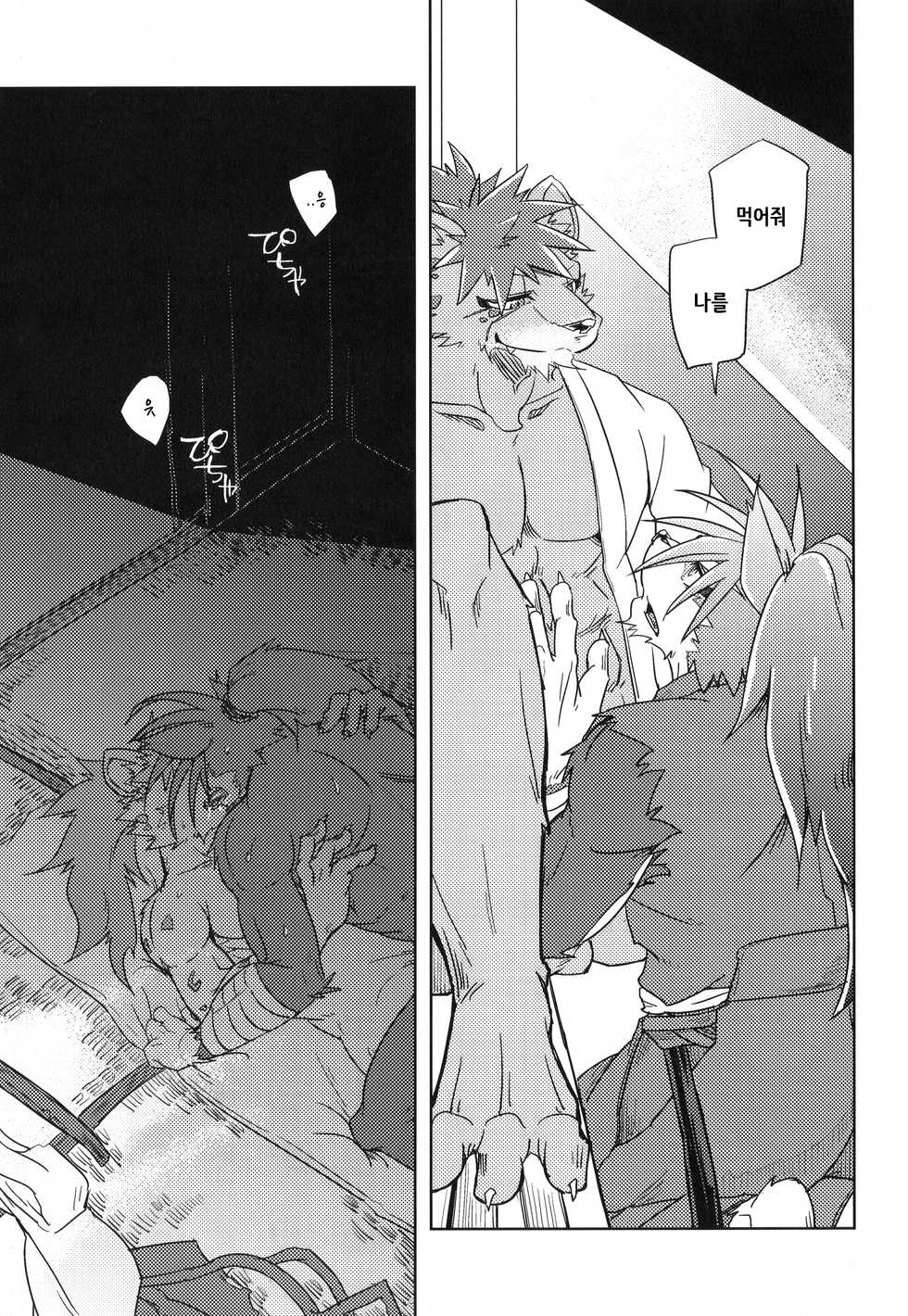 (Kemoket 7) [Natsuiro Laika (Ginnosuke)] Blazing Edge [Korean] - Page 11