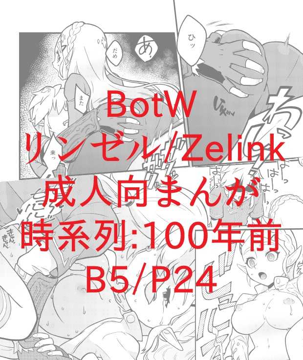 (ALL STAR 7) [Sueno-ya (ヤスロウ)] BREATH OF THE BEAST (The Legend of Zelda: Breath of the Wild) [Sample] - Page 6