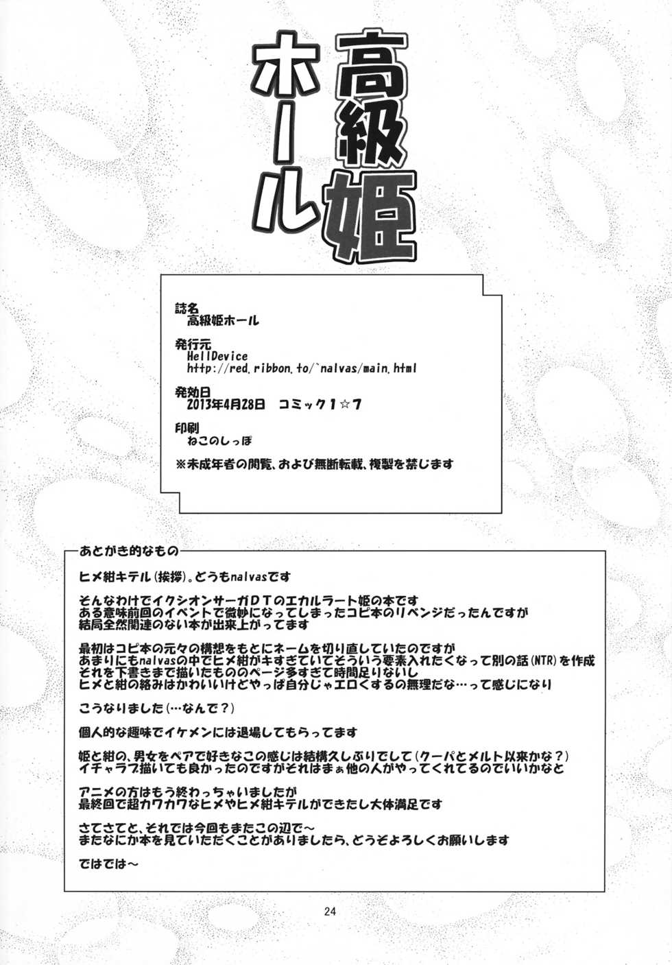 (COMIC1☆7) [HellDevice (nalvas)] Koukyuu Hime Hole | 고급 공주 구멍 (Ixion Saga DT) [Korean] [팀☆데레마스] - Page 23