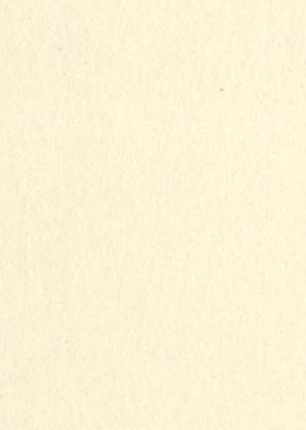 [Echizen Bugyousho (Aramaki Echizen)] Motto yo, Shikikan-sama. (Azur Lane) [Russian] [Nelolikonchik] [Digital] - Page 4