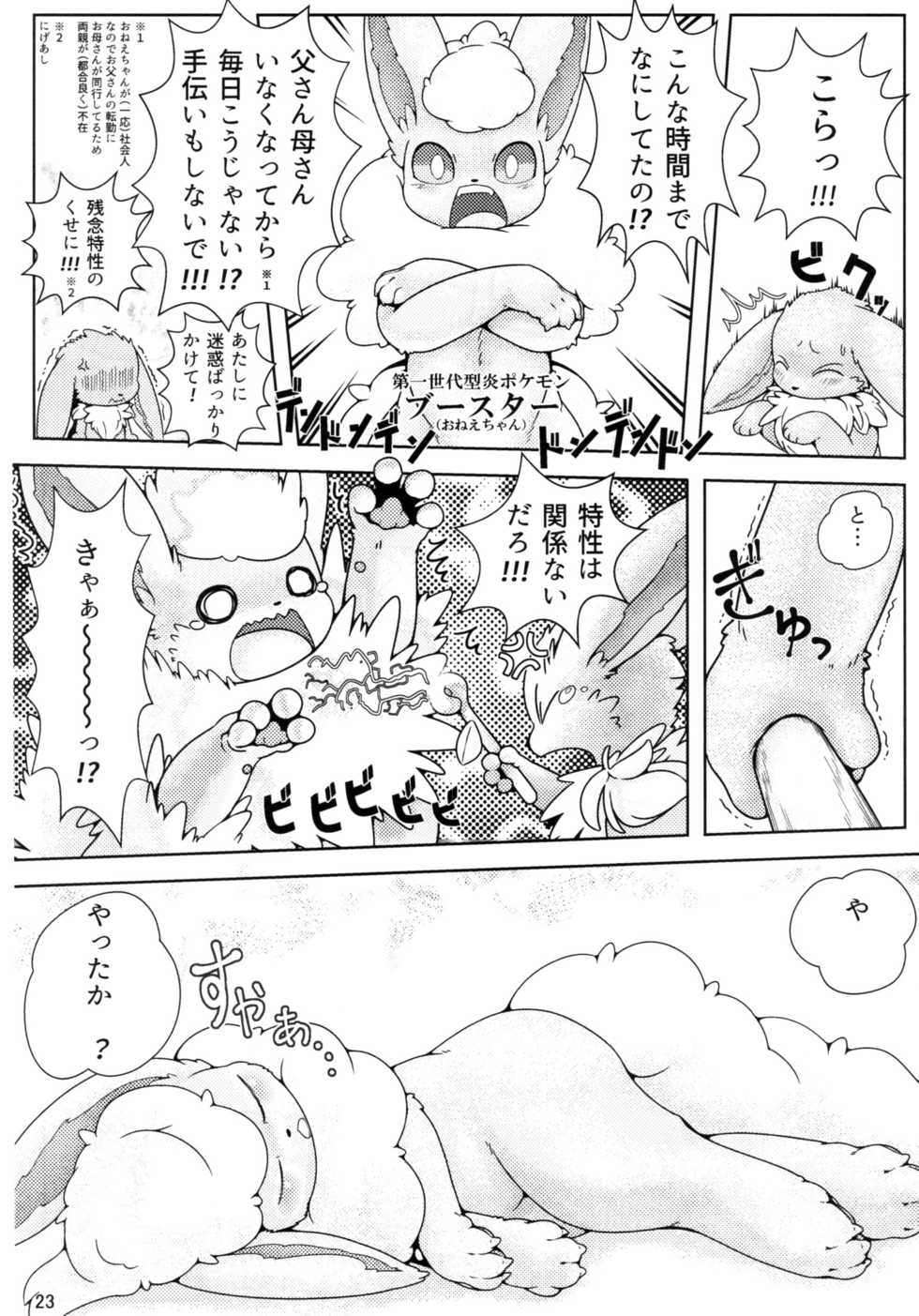 (C91) [BEart (Various)] EeveeROlution 2 (Pokémon) - Page 23