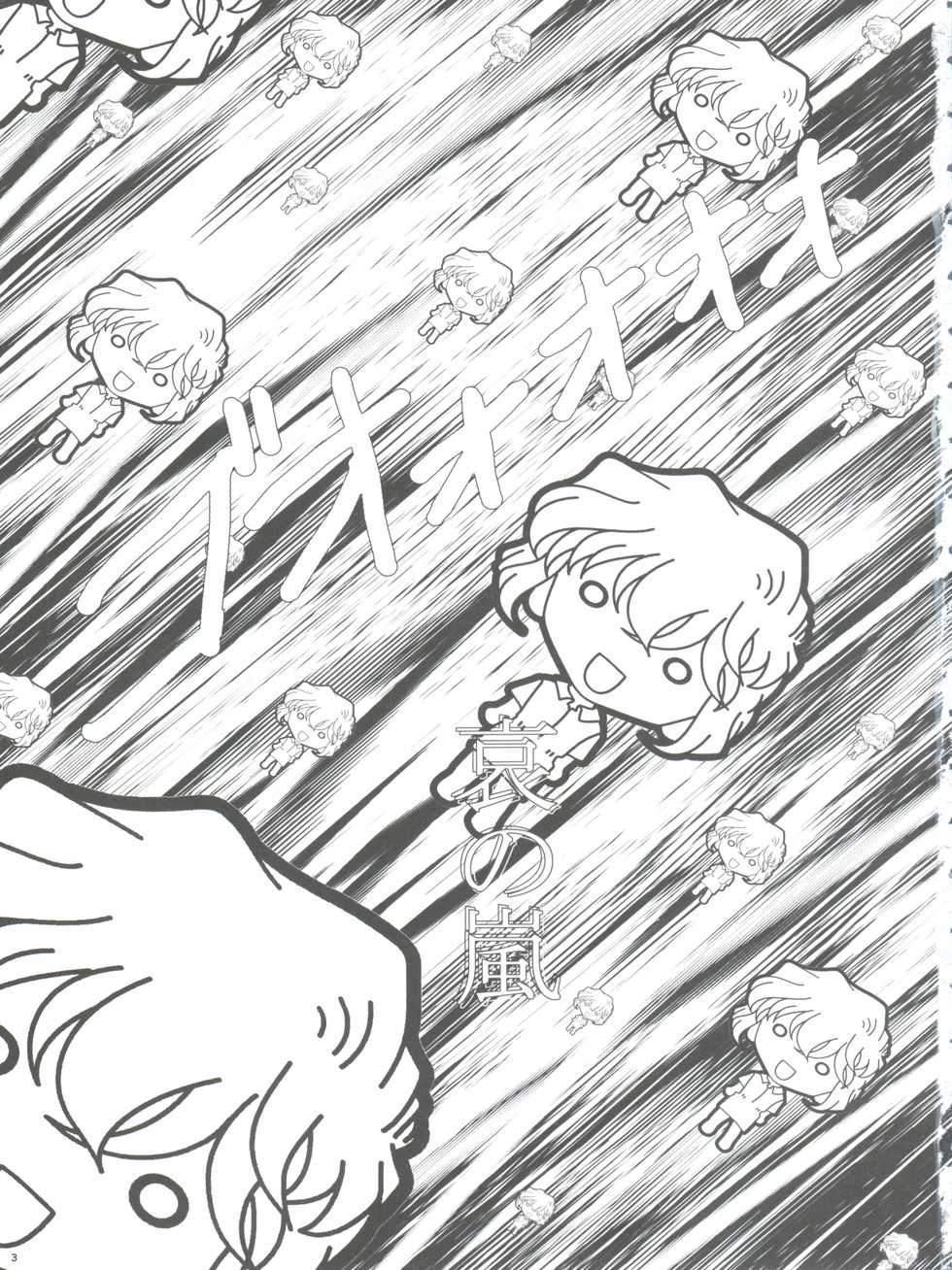 (C65) [Studio Empty (Nishi)] Ai no Arashi (Detective Conan) - Page 3