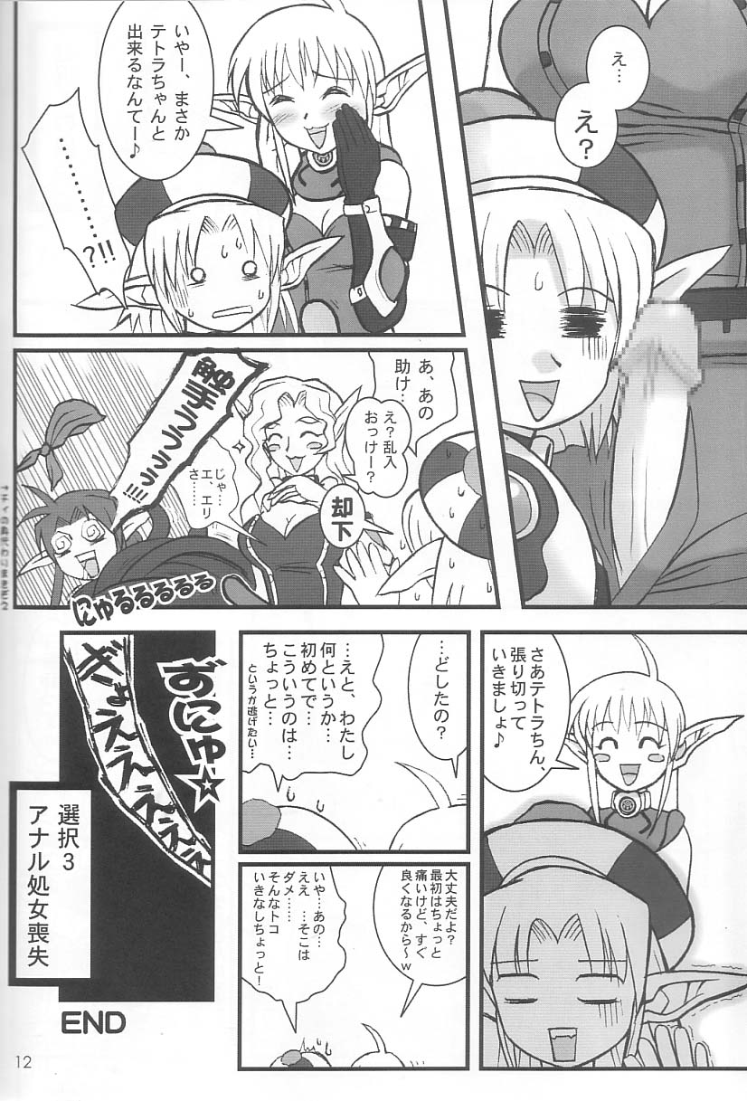 (C65) [Beni-ya (Kurenai Yuuki)] PSO CRIMSON ver.4.0 (Phantasy Star Online) - Page 11