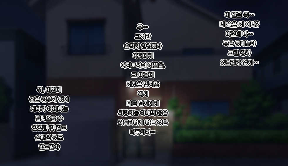 [Harapeko Teishoku (Sueyuu)] Gobusata Hokuou Bijinzuma ni Seikan Massage o! Karui Netorase no Hazu ga... | 오랫동안 무소식이던 북유럽 미인 아내에게 성감 마사지를! 가벼운 네토라세였을텐데... [Korean] - Page 16