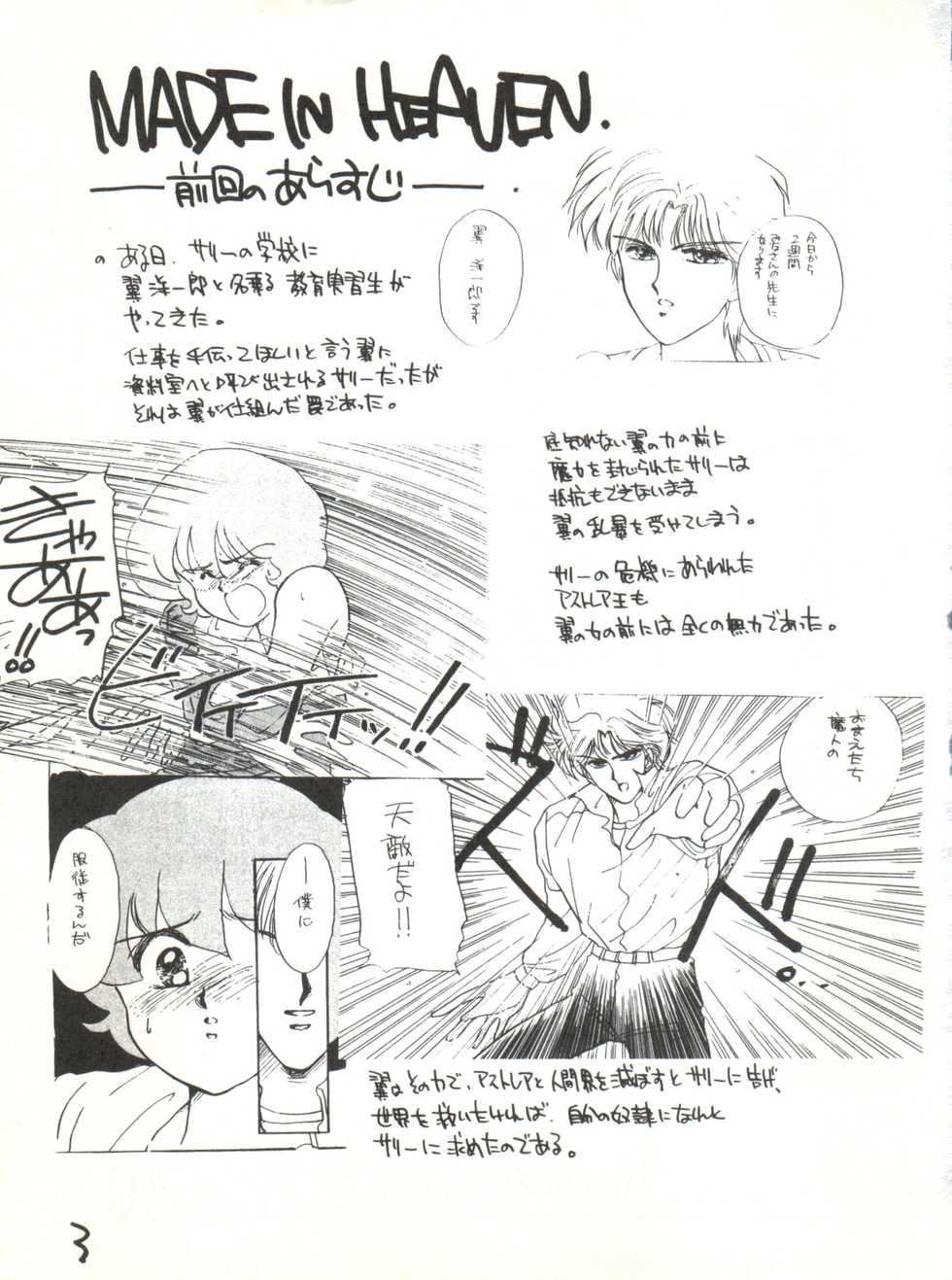 (C42) [Studio Curry House Chandra (Kosuge Yuutarou)] AGGRESSIVE Vol. 2 (Mahou Tsukai Sally) - Page 3