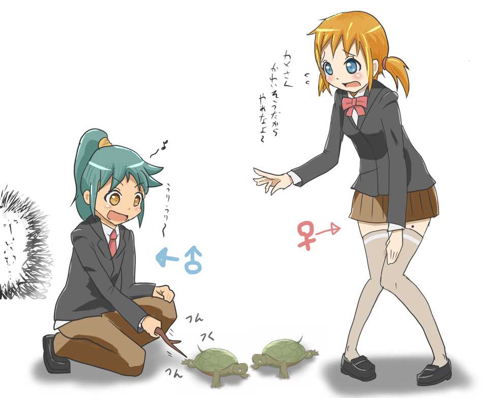 [Zakkin Kougyou (Zakkin)] Curse Tortoise - Page 2