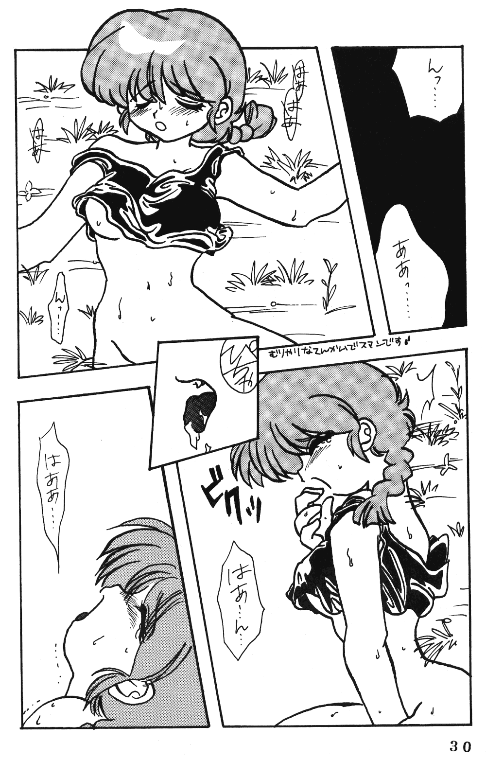 (C48) [Dark Zone (Various)] Anima (Ranma 1/2) - Page 29