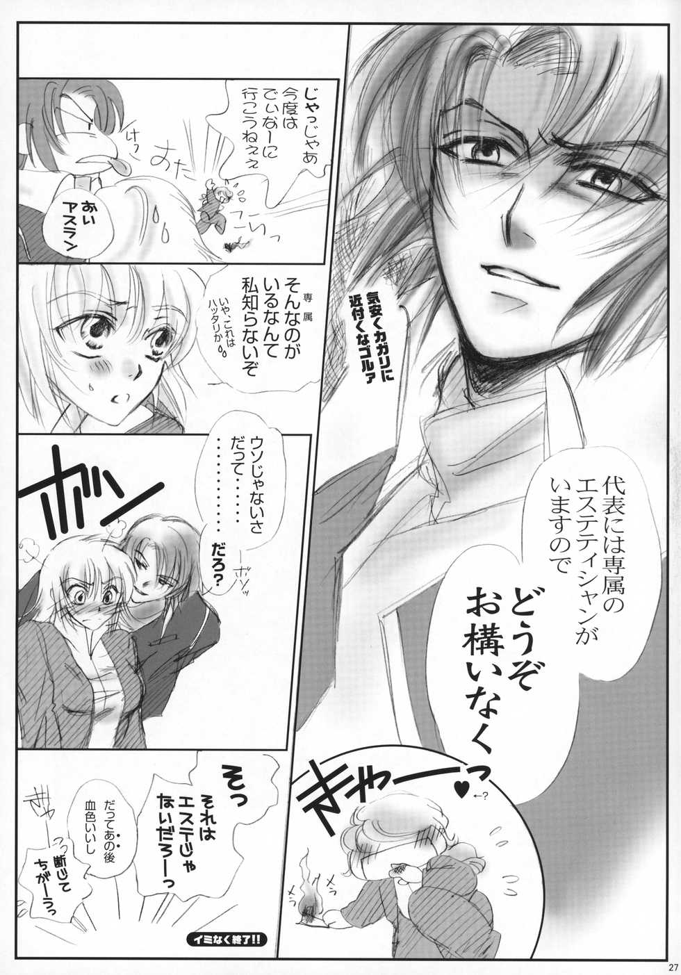 (C70) [Purincho. (Purin)] Luce (Mobile Suit Gundam SEED, Mobile Suit Gundam SEED DESTINY) - Page 28