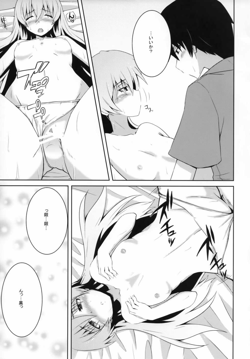 (COMIC1☆5) [Catcher's mitt of silver (Kaname Nagi)] ~Giniro no Negai~ (DARKER THAN BLACK) - Page 14