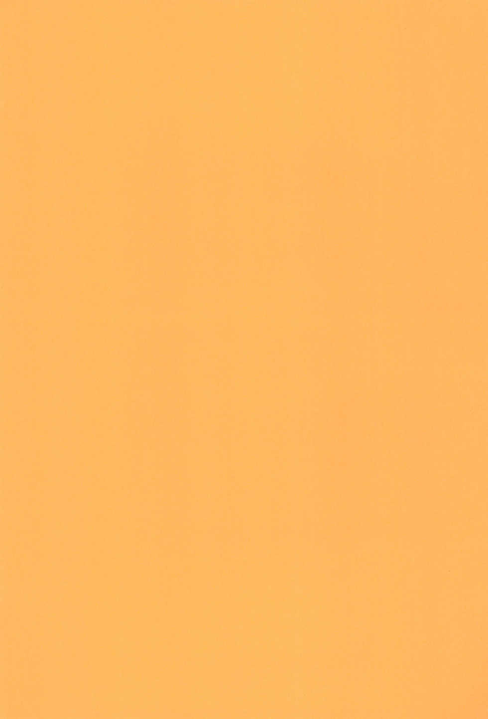 (C78) [Neko Neko House (Yokuran)] Touhou Nekomimi Monogatari (Touhou Project) - Page 3