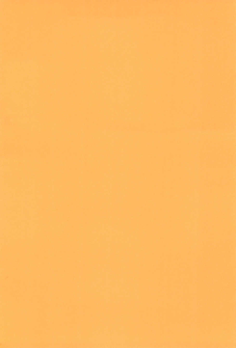 (C78) [Neko Neko House (Yokuran)] Touhou Nekomimi Monogatari (Touhou Project) - Page 4