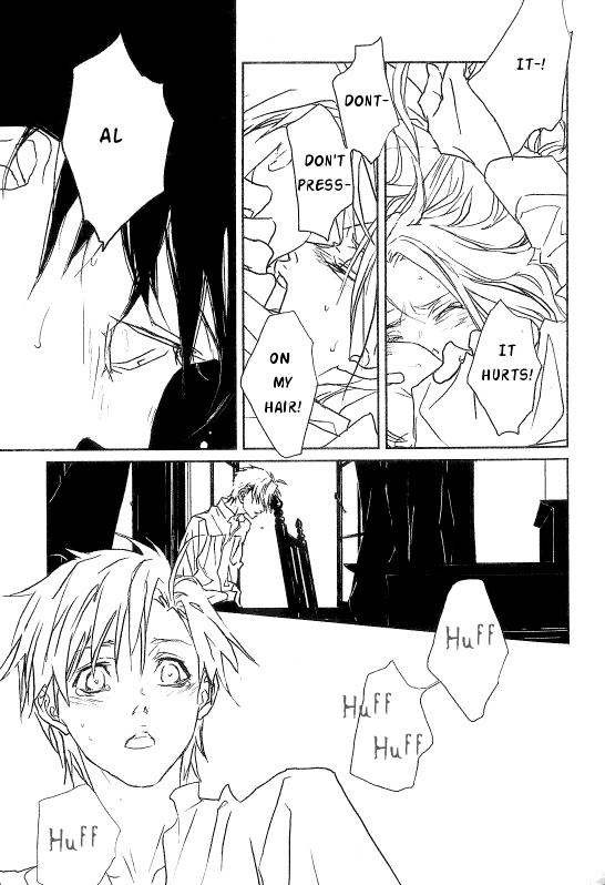 (C69) [idea (Seina Rin)] Metamorphose (MP) (Fullmetal Alchemist) [English] [Scan-Clan] - Page 24