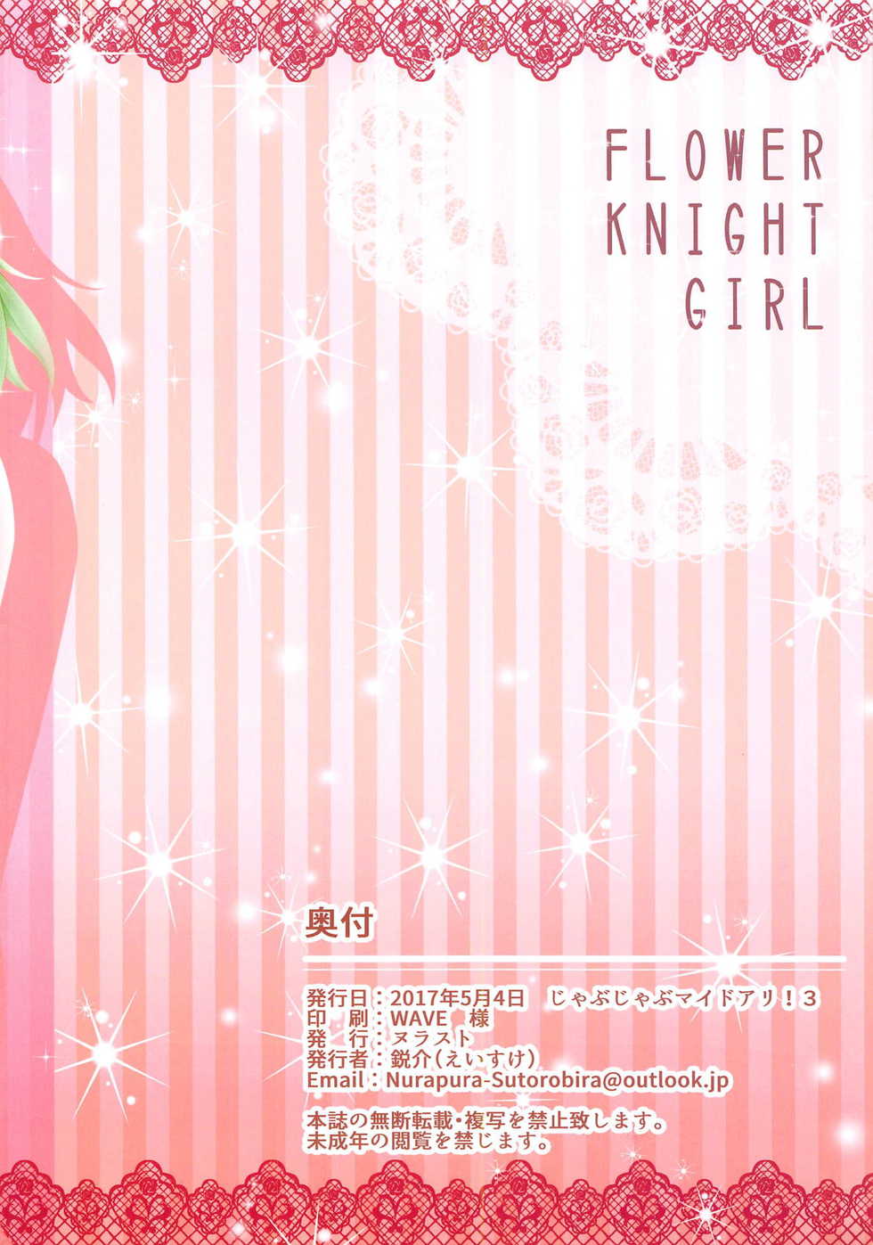 (Jabjab Maidoari! 3) [Nura-Suto (Eisuke, Ireu)] Hayatsumi Flower Knight (Flower Knight Girl) - Page 12