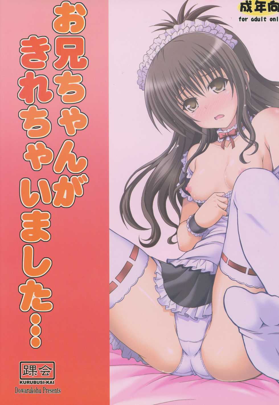 (C84) [KURUBUSI-KAI (Dowarukohu)] Onii-chan ga Kirechaimashita... (To LOVE-ru) - Page 22