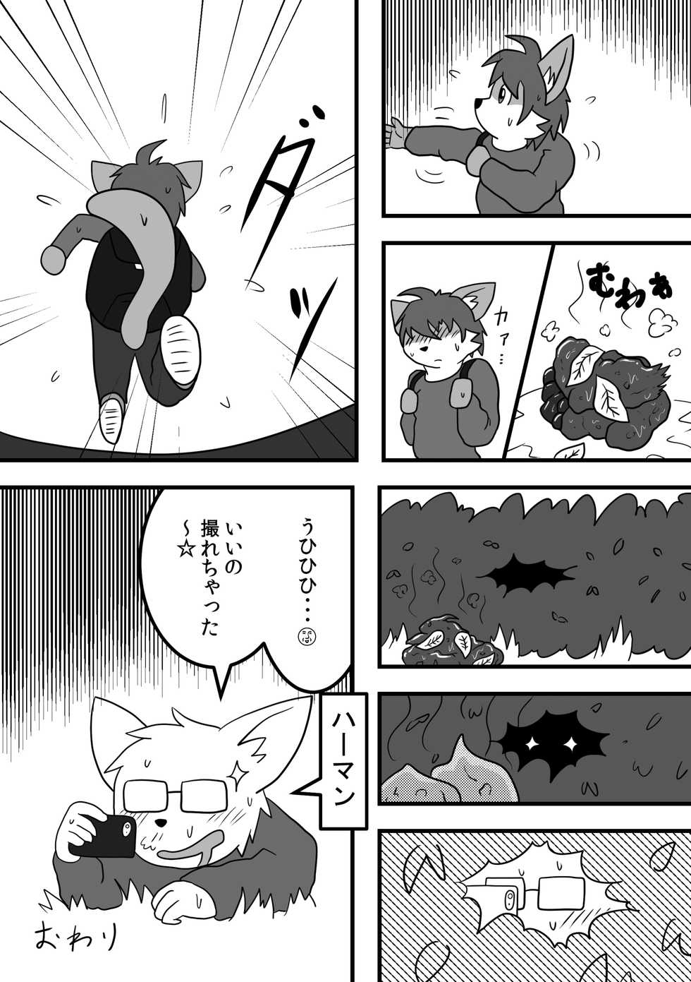 [Kedamono Box (hata., Manoreo, Ren)] Defecating Furries [Digital] - Page 17