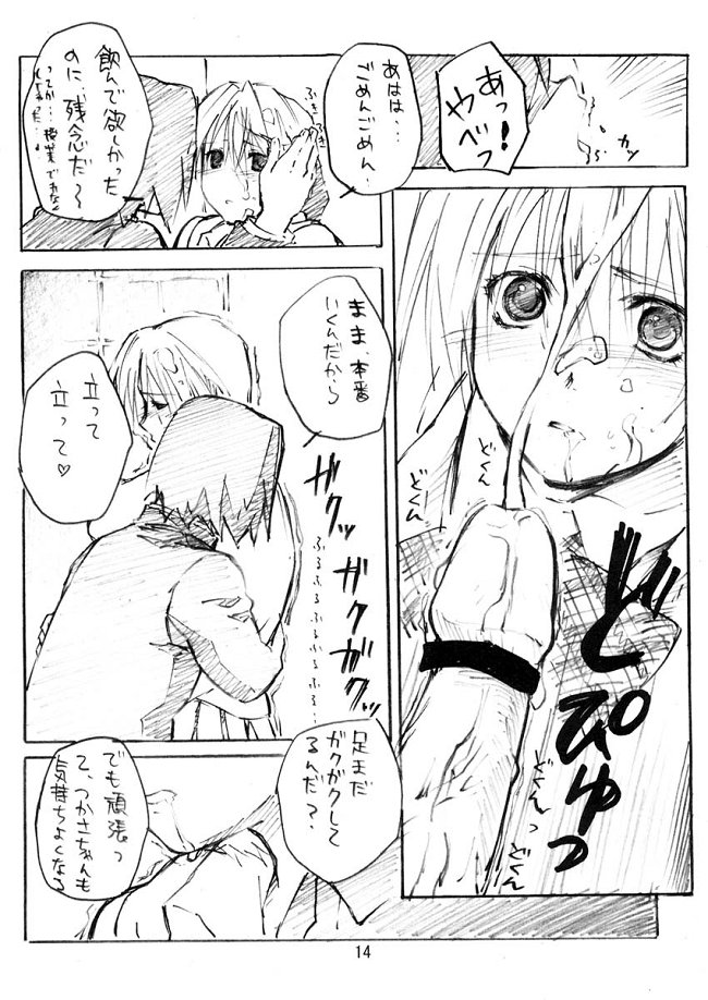 [AX (Wazuyun)] Sutoberorincho (Ichigo 100%) - Page 14